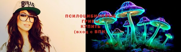 прущие крисы Нефтекумск